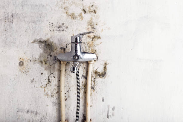Best Localized Mold Remediation (e.g., coastal areas, humid climates) in Waxhaw, NC